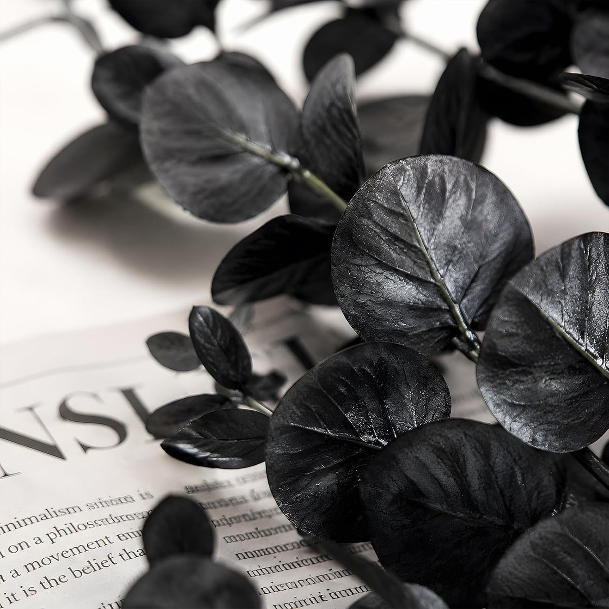 Black Artificial Eucalyptus Stems, 24-Pack · Product photo 4