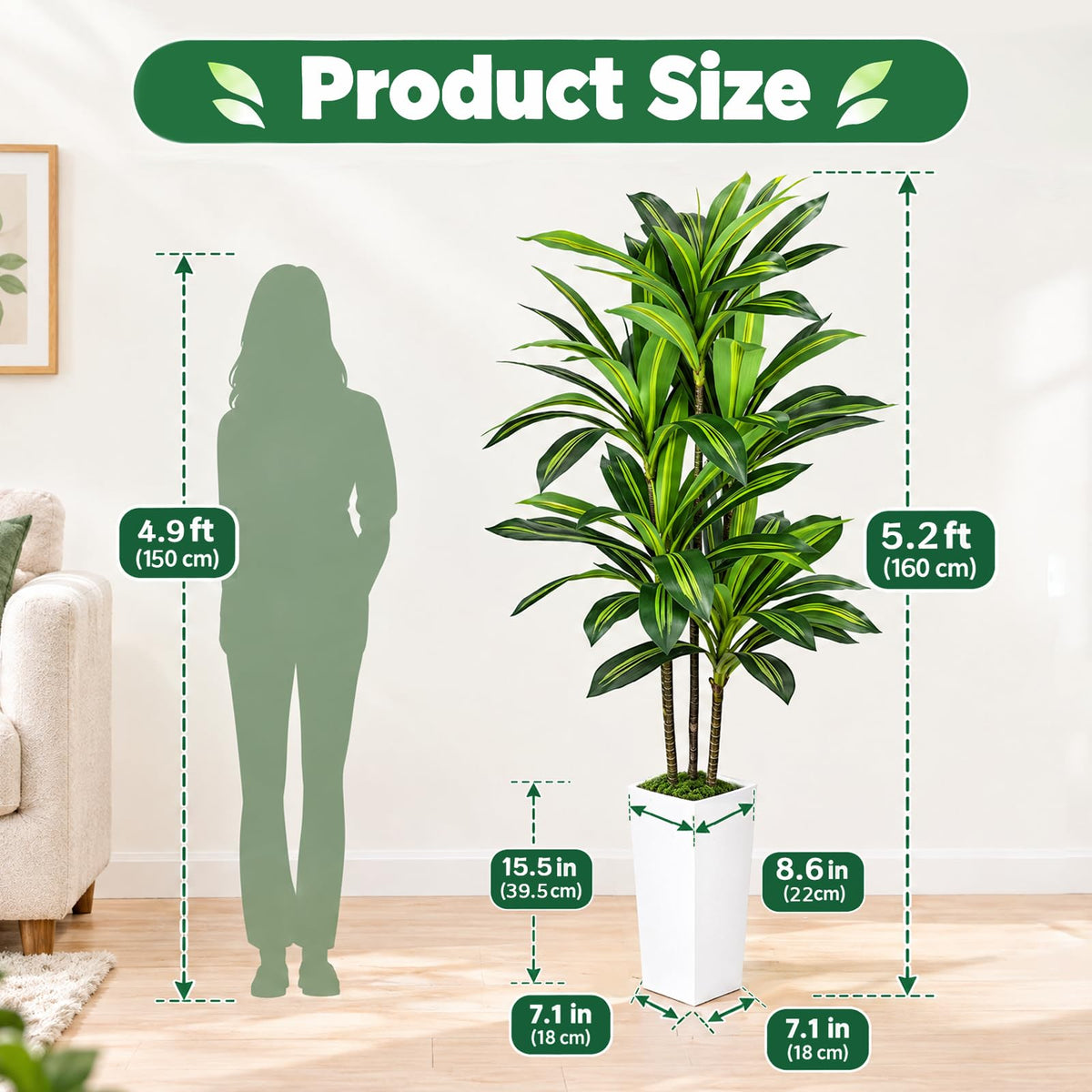 Artificial Dracaena Tree with White Planter — 5.2 FT