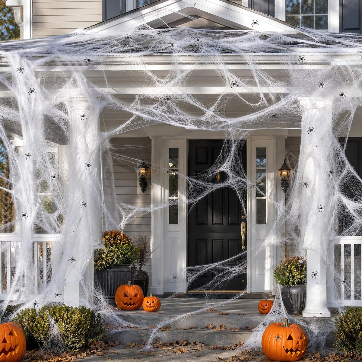 Halloween Spider Web & Spider Set · 1200 sqft