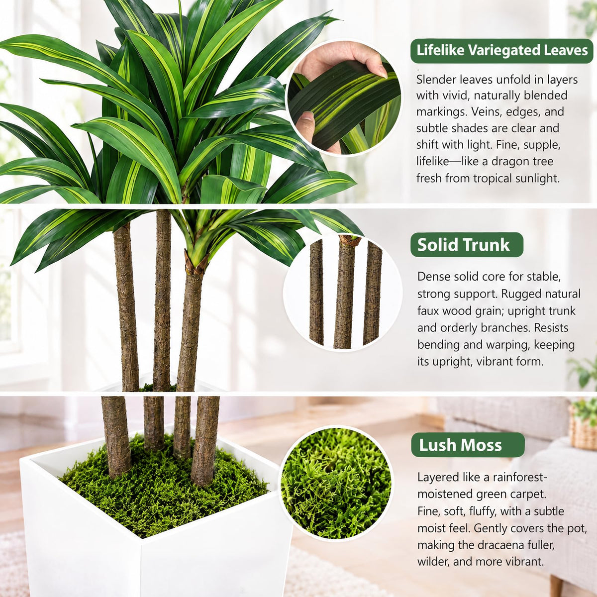 Artificial Dracaena Tree with White Planter — 5.2 FT