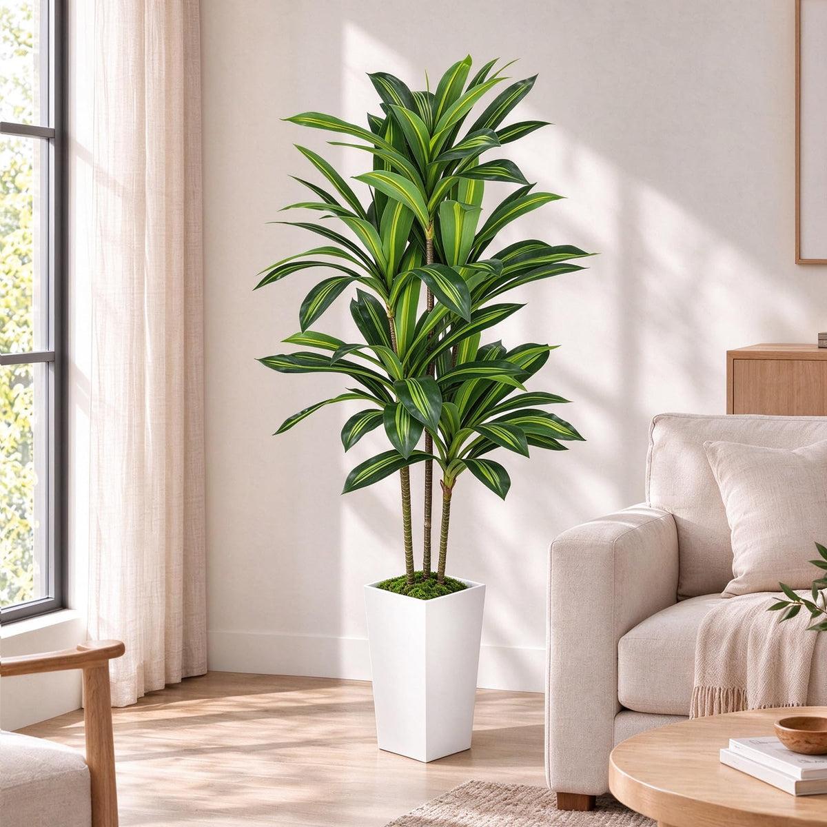 Artificial Dracaena Tree with White Planter — 5.2 FT · 5.2 FT · White Planter