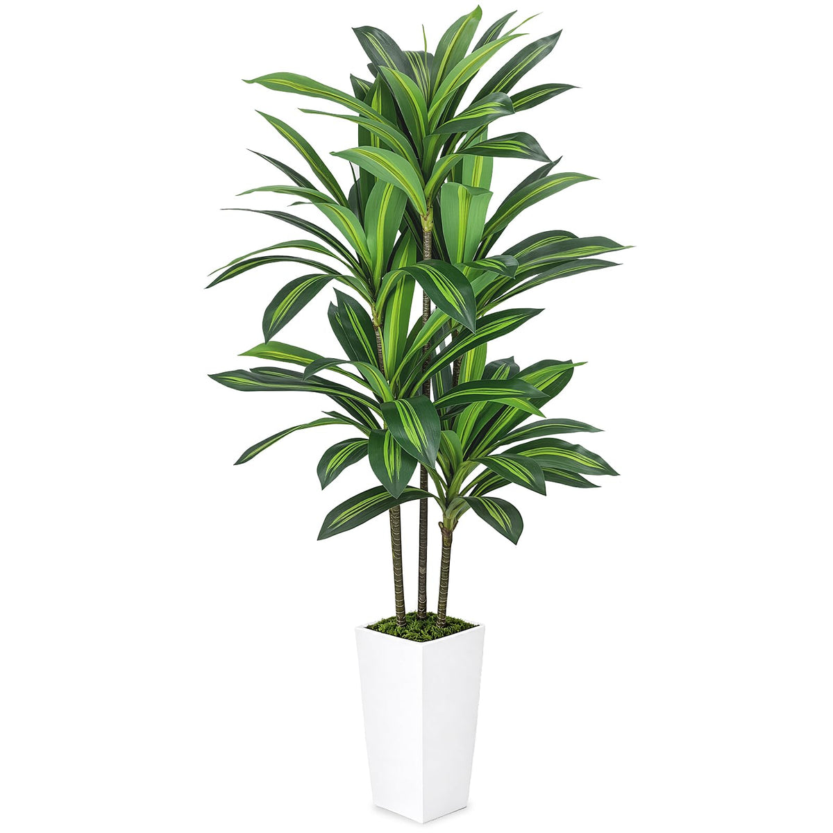 Artificial Dracaena Tree with White Planter — 5.2 FT · Product photo 9