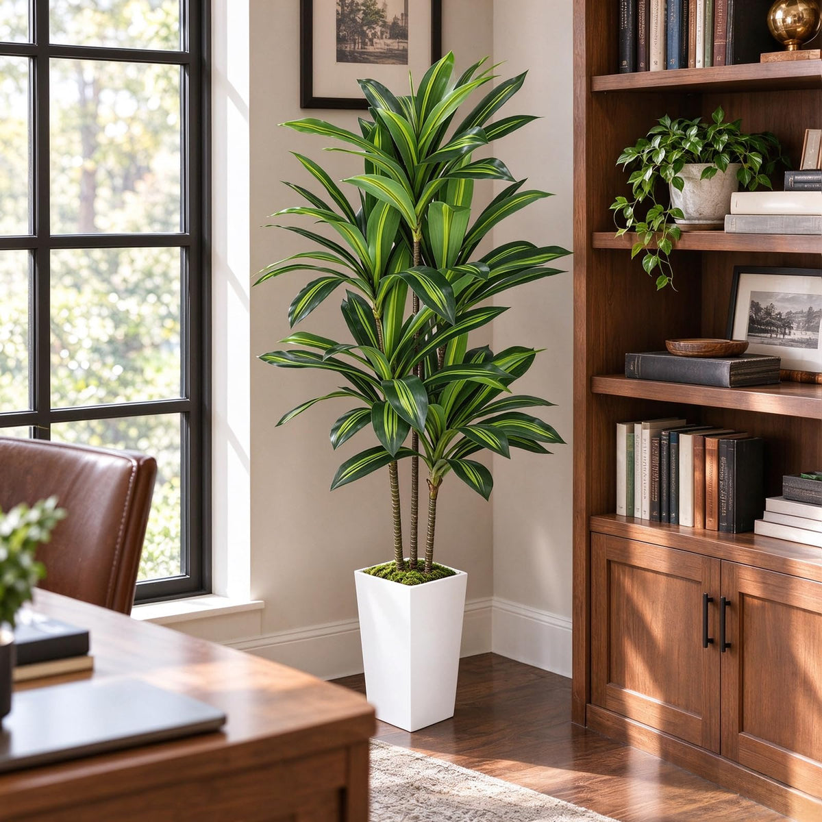 Artificial Dracaena Tree with White Planter — 5.2 FT