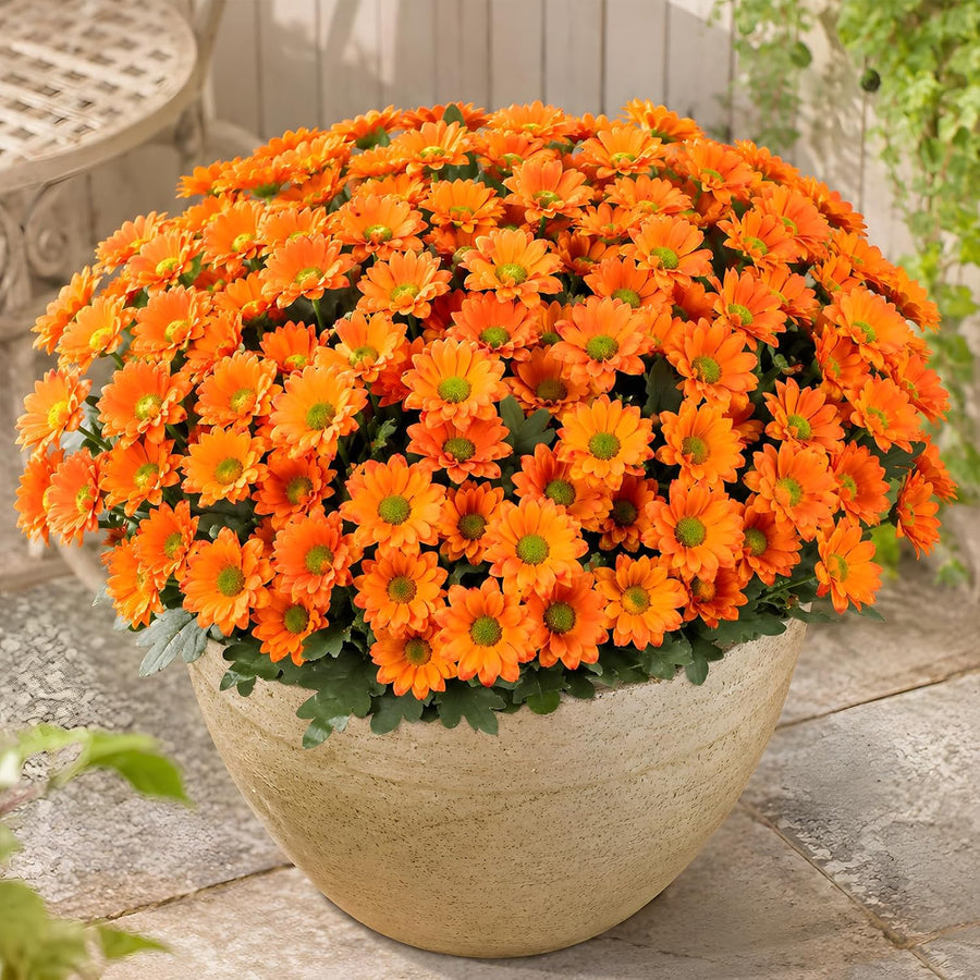 Cleangor 12 Pcs Daisy Artificial Flowers for Outdoors Decoration (Orange) — product image 1