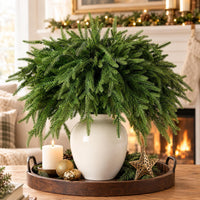 Artificial Norfolk Pine Stems