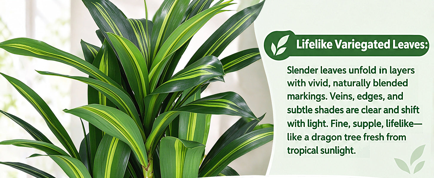 Artificial Plant Dracaena